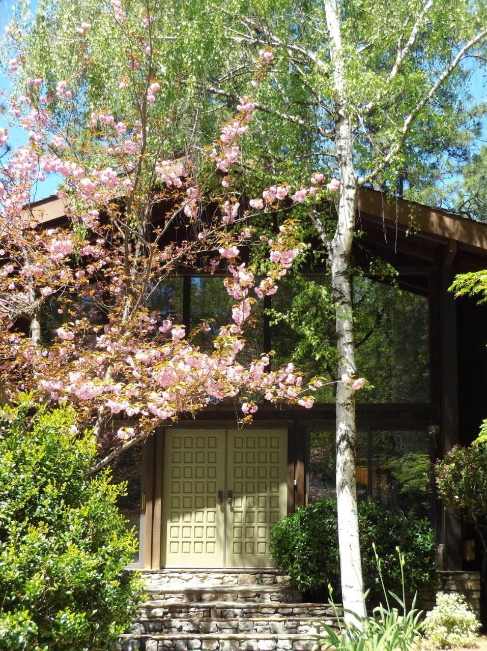 Ponderosa Ridge A B & B Placerville Eksteriør bilde