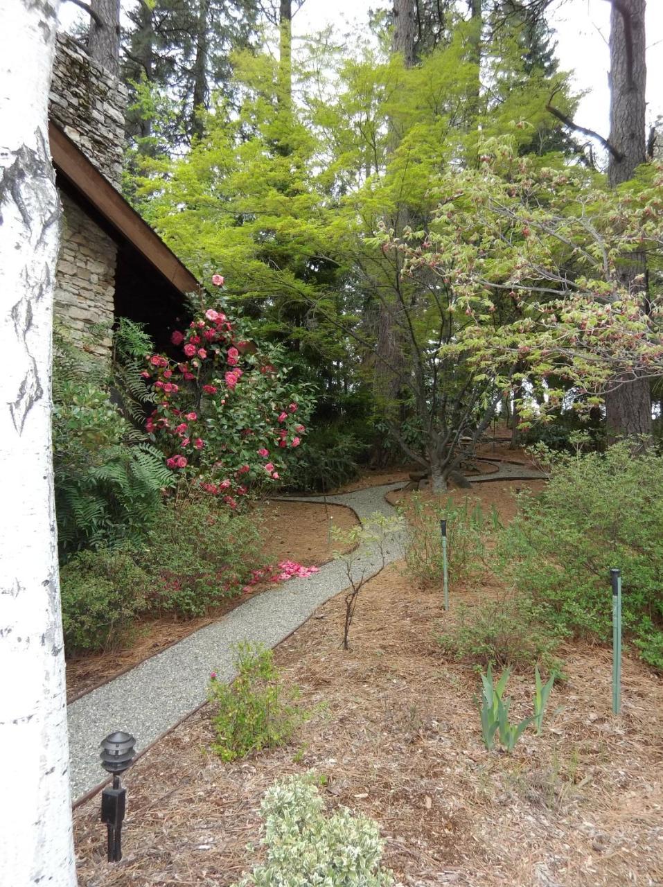 Ponderosa Ridge A B & B Placerville Eksteriør bilde