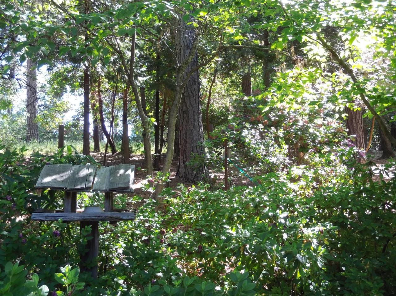 Ponderosa Ridge A B & B Placerville Eksteriør bilde